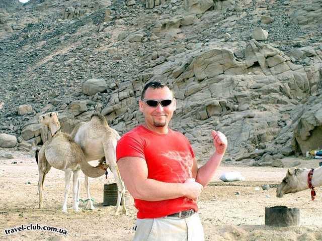  Египет  Хургада  Sultan beach 4*  С верблюдами