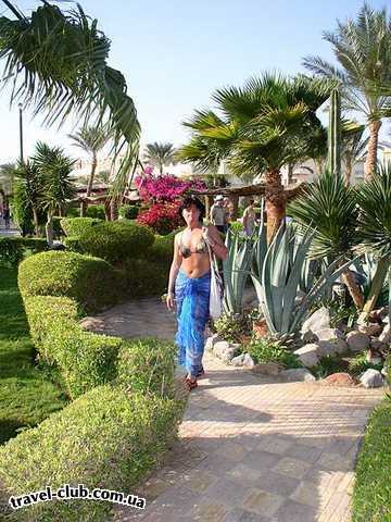  Египет  Хургада  Sultan beach 4*  Территория отеля 1