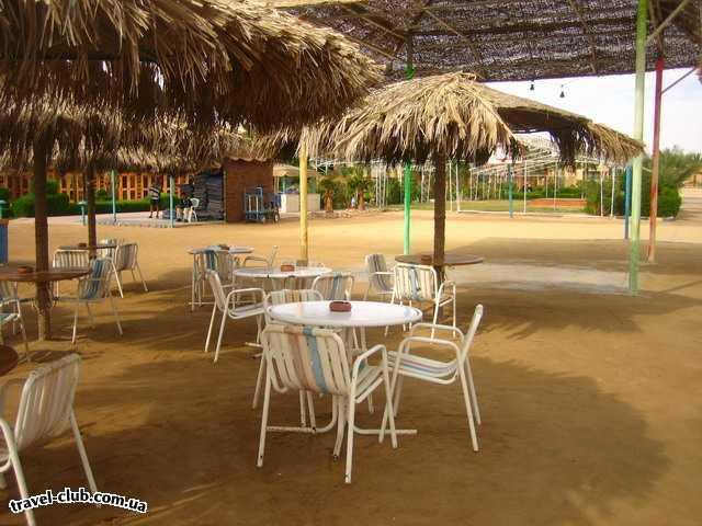  Египет  Хургада  Royal palace 4*  пляж<br />
