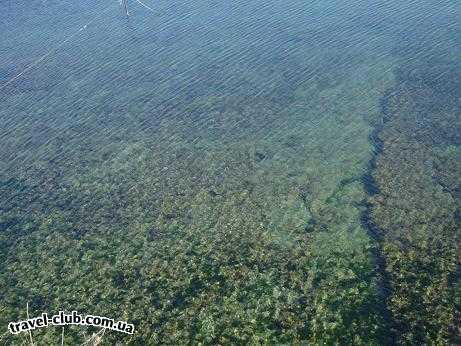  Болгария  Бургас.Крайморие  Отель Лагуна  Черном море 