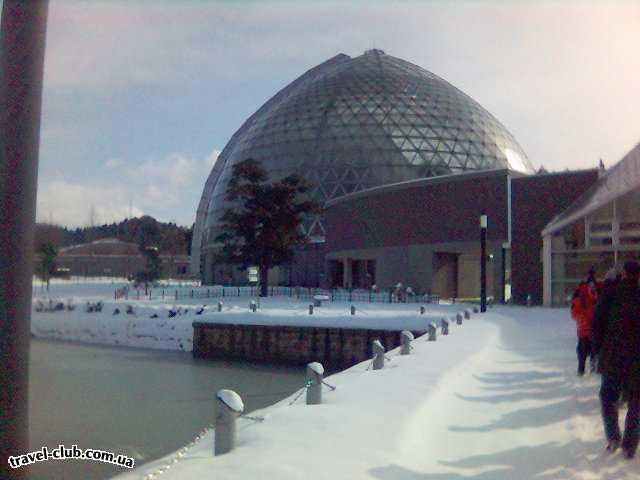  Япония  Батанический сад в городе NIIGATA