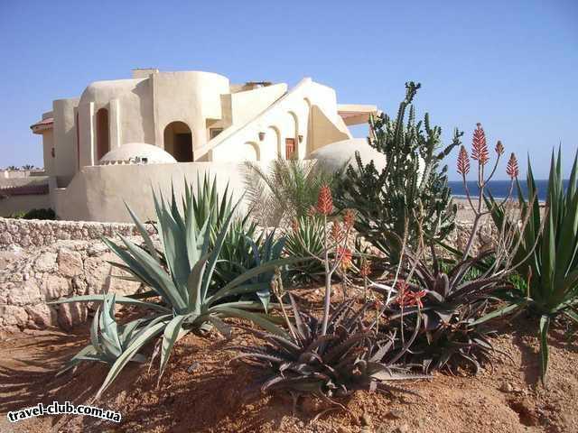  Египет  Шарм Эль Шейх  Hauza Beach Resort 4+ (Ex. Calimera)  Если вы побогаче и хотите жить в бунгало то к вашим усл