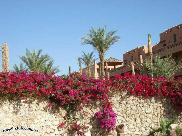 Египет  Шарм Эль Шейх  Hauza Beach Resort 4+ (Ex. Calimera)  Цветы и пальмы... очень красивая территория...приятные в