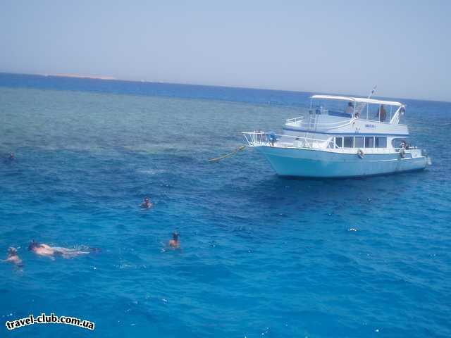  Египет  Хургада  Sea Gull 4*  Поездка на райский остров