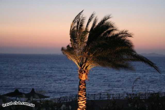  Египет  Шарм Эль Шейх  Coral beach tiran 4*  ветер
