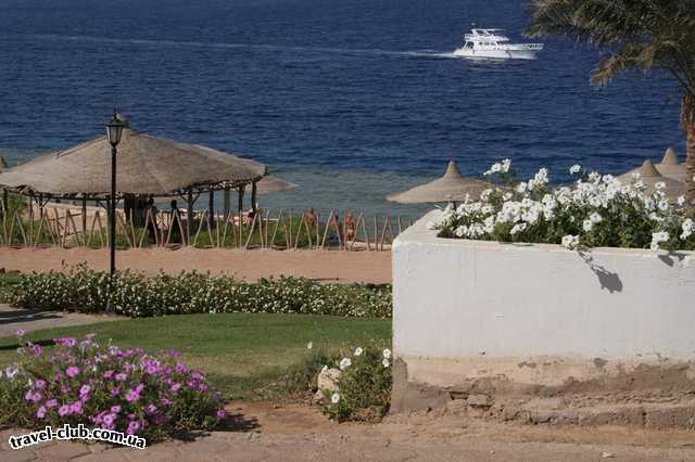  Египет  Шарм Эль Шейх  Coral beach tiran 4*  фокус в центре...