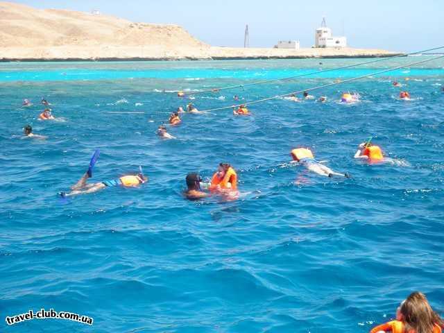  Египет  Хургада  Ali-Baba 4*+  Коралловые рифы