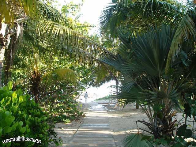  Куба  Варадеро  а это дорожка к пляжику нашего отельчика