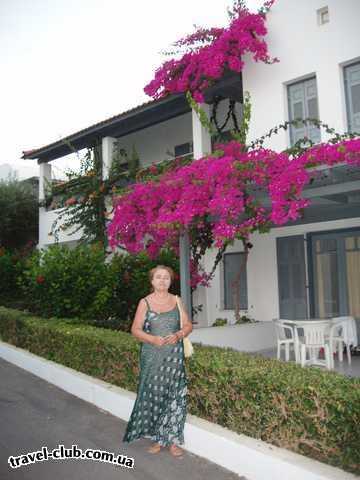  Греция  Крит, Ираклион  Херсониссос, отель Anna Maria appartments  Розовые волшебные бугенвалии!!!!!!!!