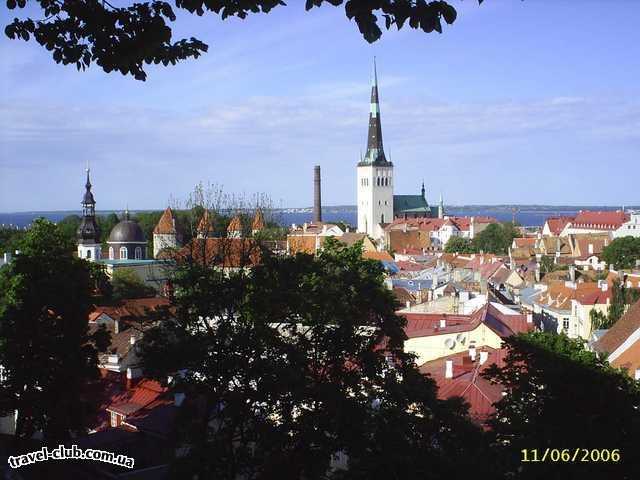  Эстония  Таллинн  Scane  панорама города