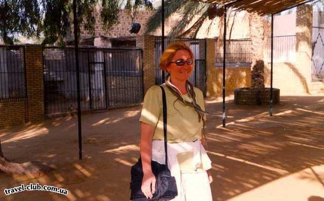  Тунис  Хаммамет  в зоопарке со змеями на шее