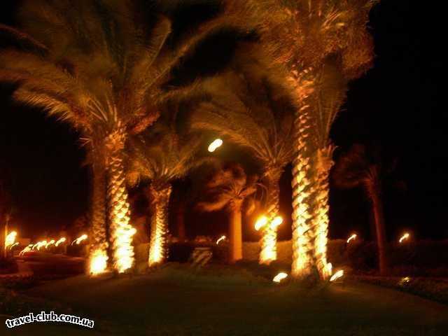  Египет  Хургада  Regina style 4*  Хургада, типичный египетский газон с подсветкой. Этот 