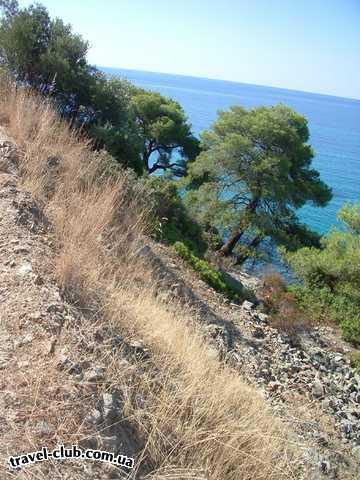  Греция  Халкидики  Poseidon 4* ( Sitonia )  Вокруг горы, довольно высокие и красивые