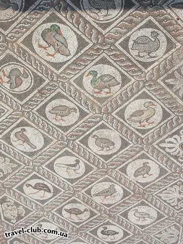  Греция  Халкидики  Poseidon 4* ( Sitonia )  Дельфы - Мозаичный пол одного из храмов