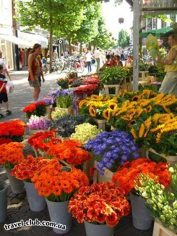  Голландия  Амстердам  Цветочный базар Харлема