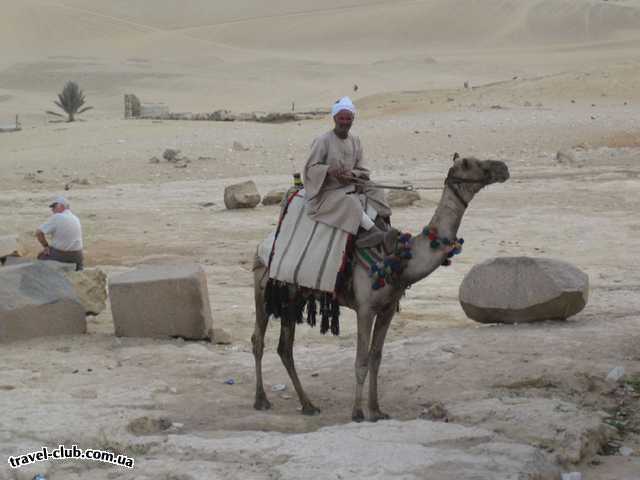  Египет  Шарм Эль Шейх  Cataract resort 4*  бедуины в пустыне