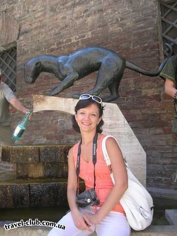 Италия  В Сиене - древнем городе Тосканы. Пантера - один из симв