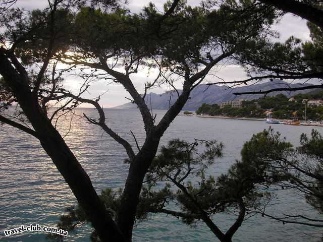 Хорватия  макарская ривьера, курорт башка вода  пляж бреллы