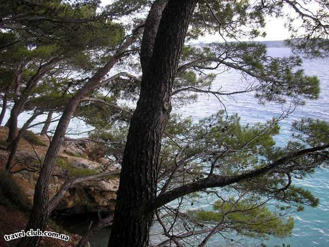  Хорватия  макарская ривьера, курорт башка вода  башка вода