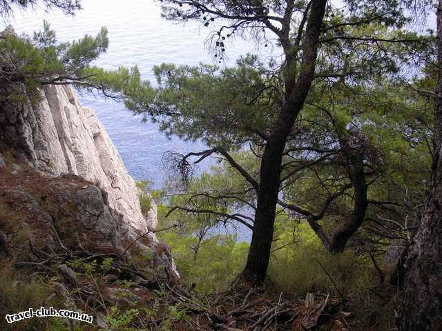  Хорватия  макарская ривьера, курорт башка вода  парк в макарском