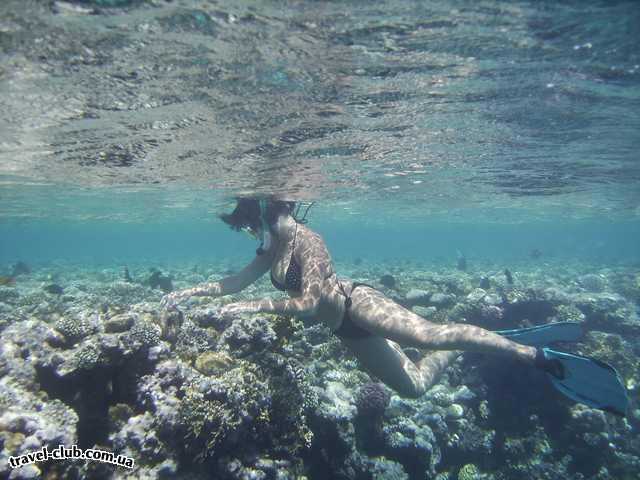  Египет  Шарм Эль Шейх  Savoy 5*  Коралловые рифы