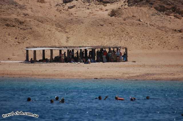  Египет  Шарм Эль Шейх  Savoy 5*  Племя каннибалов поджидает руссо- туристо на берегу(За