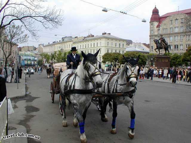  Украина  Львов  Львов, центр города