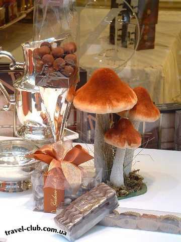  Бельгия  Заглядывался на шоколадные грибы