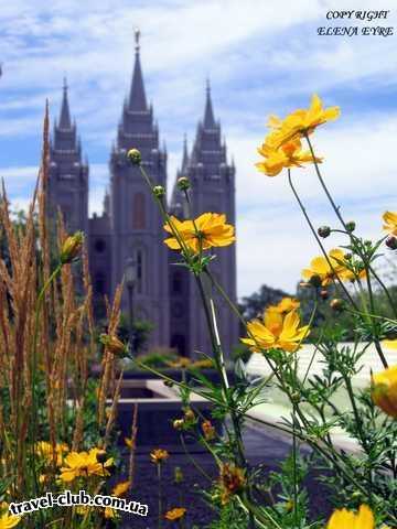  США  Америка  храм LDS Salt Lake city, Utah
