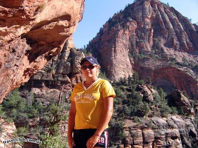  США  Америка  Zions National park