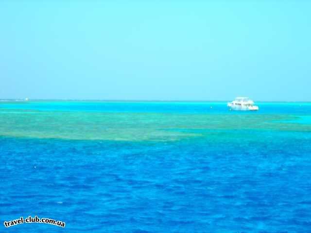  Египет  Шарм Эль Шейх  Коралловый остров