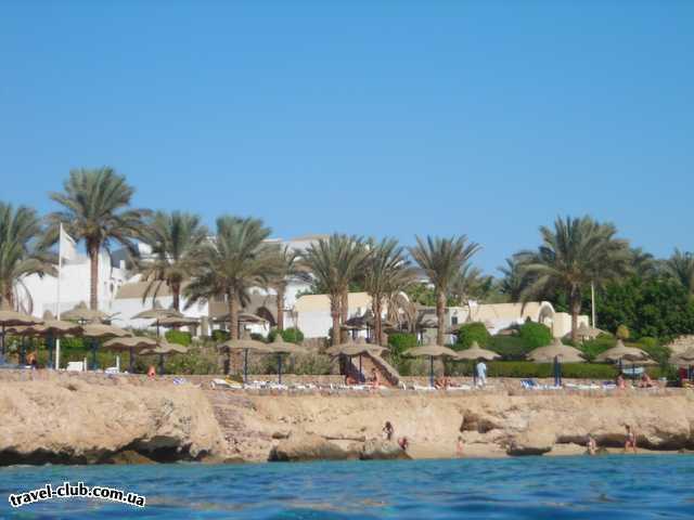  Египет  Шарм Эль Шейх  Коралловый пляж
