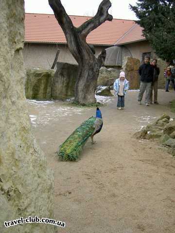  Чехия  Прага  зоопарк