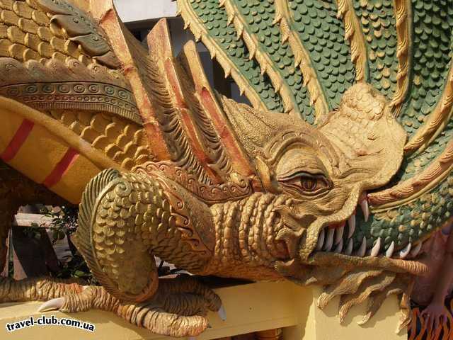  Таиланд  Паттайя  Священная змея Нага (фрагмент)