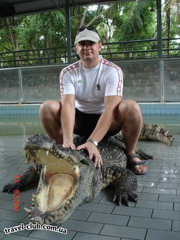  Таиланд  Паттайя  Aisawann Resort&Spa (он же Garden Beach)  На крокодиловой ферме. Рептилия настоящая.