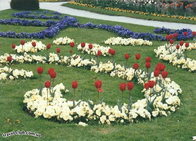  Австрия  Зальцбург  Цветы в саду Мирабель