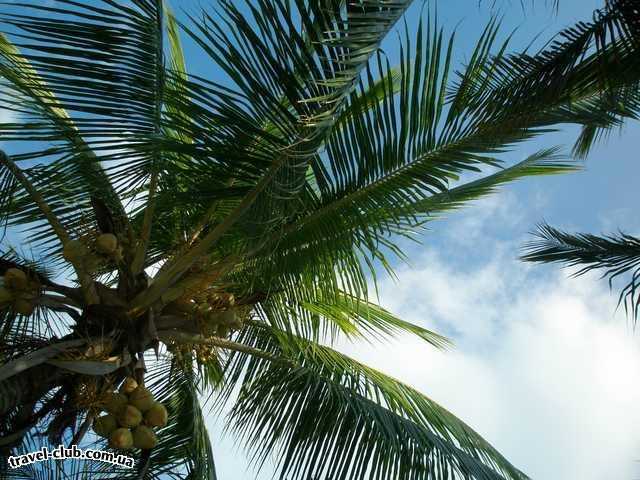  Куба  Варадеро  SOL SIRENAS CORAL  Небо на пляже