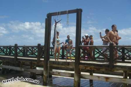  Доминикана  Punta Cana  Excellence Punta Cana 5*  
