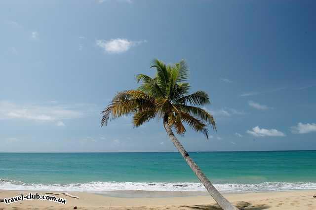  Доминикана  Punta Cana  Пляж в LAGUNA LIMON. 