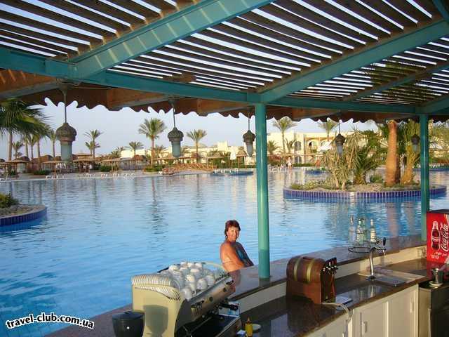  Египет  Хургада  Desert rose 5*  бассейн рядом с корпусом, не выходя из бассейна можно н