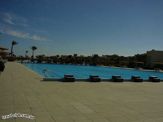  Египет  Хургада  Desert rose 5*  олимпийский бассейн