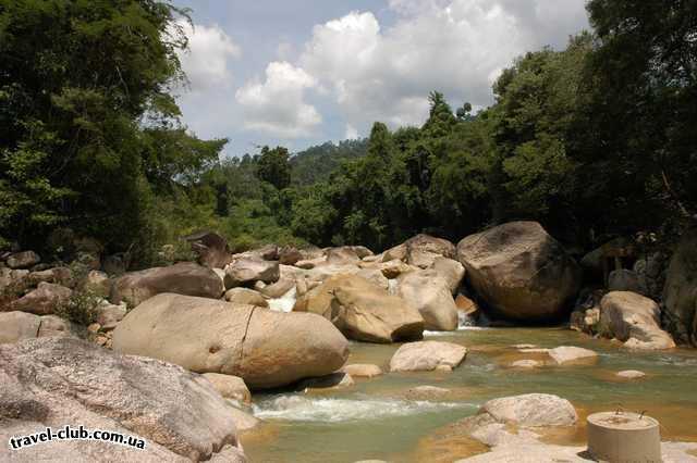  Вьетнам  Сайгон  Природа джунглей