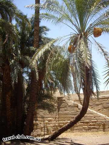  Египет  Хургада  Внутри высохшего колодца Клеопатры
