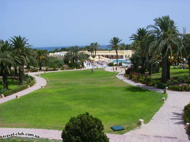  Тунис  Вид с терассы гостиницы