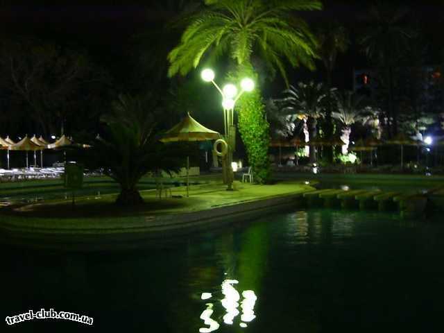  Тунис  Бассейн гостиницы ночью