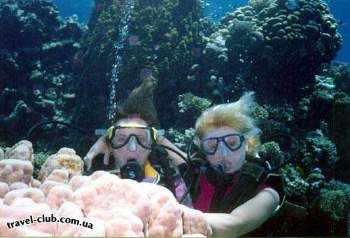  Египет  Хургада  Desert rose 5*  Мы под водой на фоне кораллов.