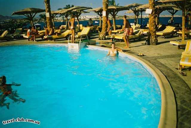  Египет  Шарм Эль Шейх  Coral beach tiran 4*  в бассейне