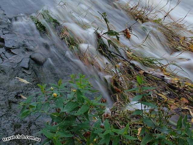  Ирландия  Дублин  Фотосессия на Додер (Dodder river) Окт 2004