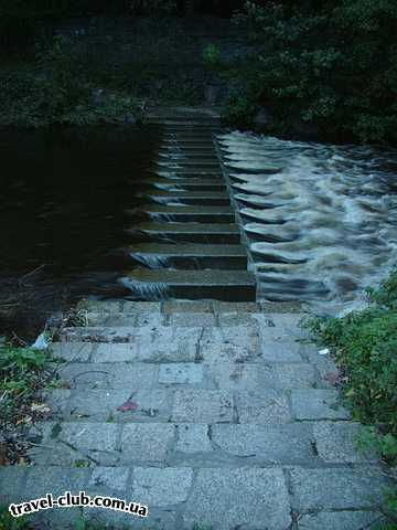  Ирландия  Дублин  Фотосессия на Додер (Dodder river) Окт 2004