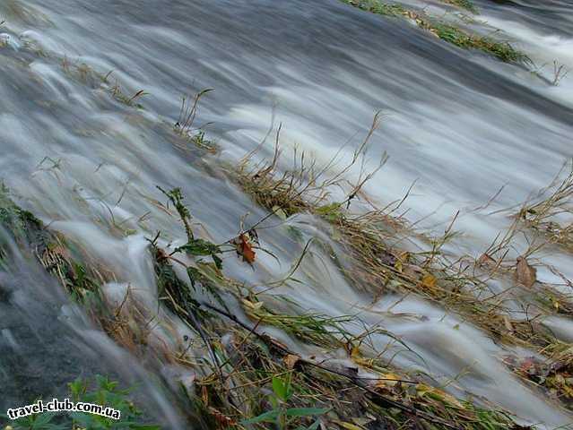  Ирландия  Дублин  Фотосессия на Додер (Dodder river) Окт 2004